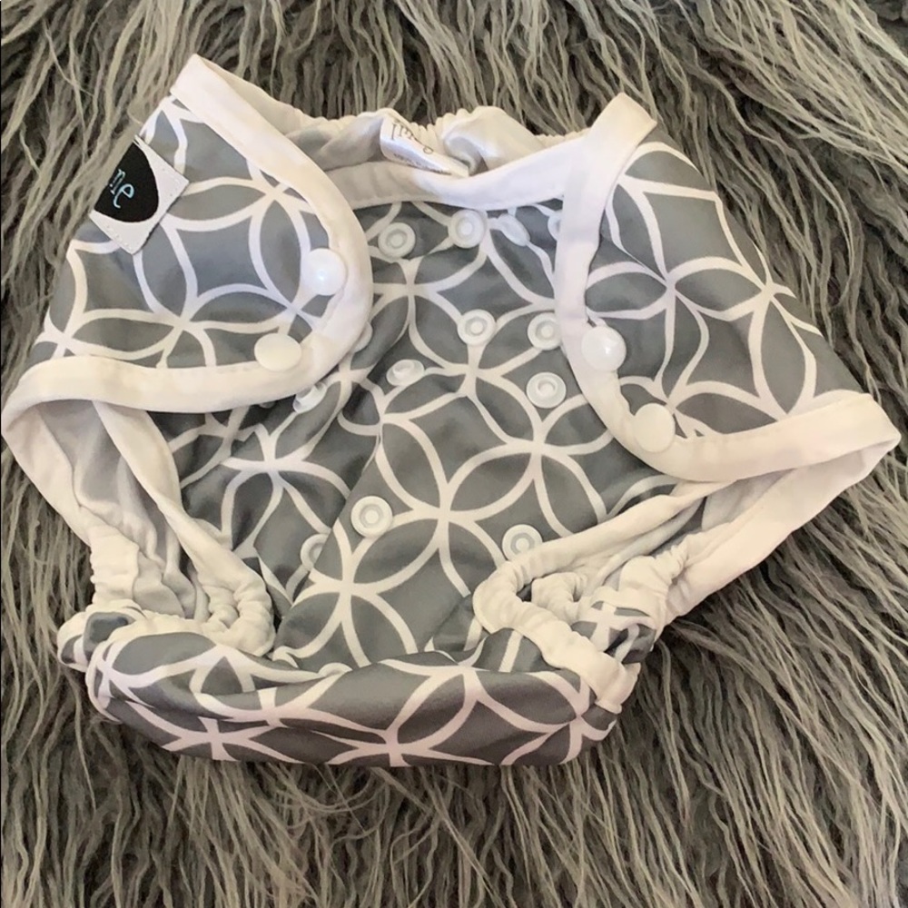 Imagine cloth diaper